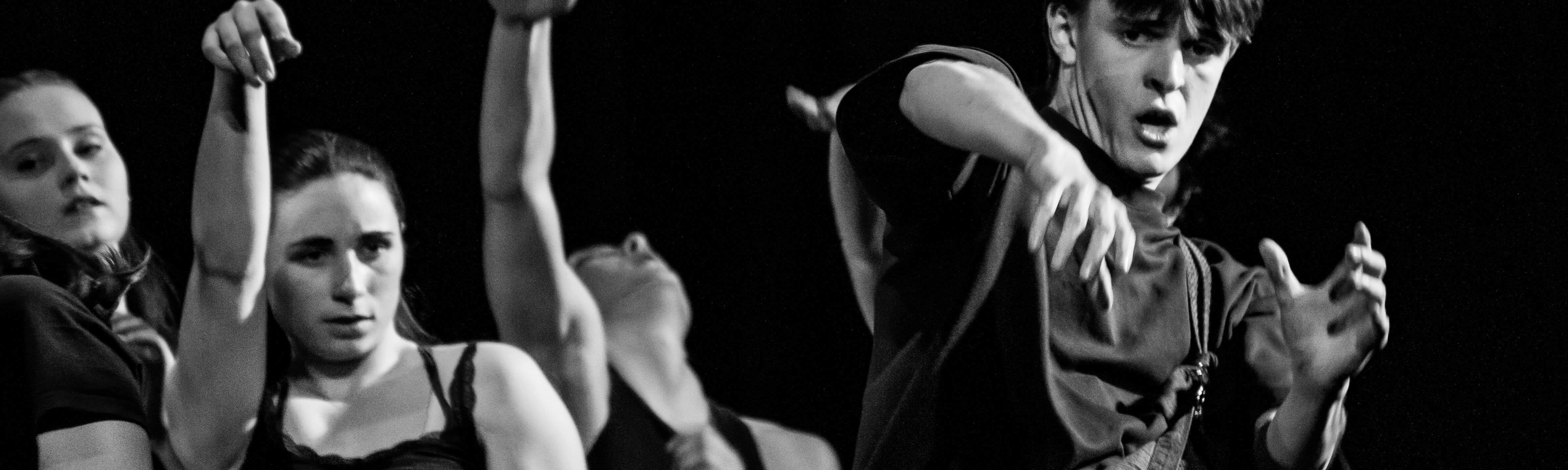 meute improvisée